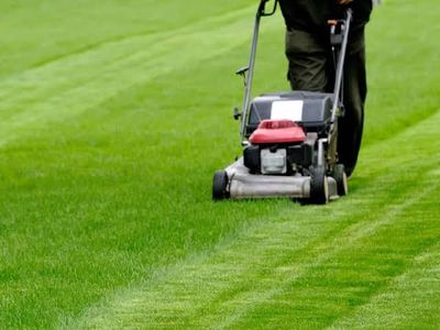 lawn-mowing-business-wiwo-mid-north-coast-nsw-owner-retiring-0