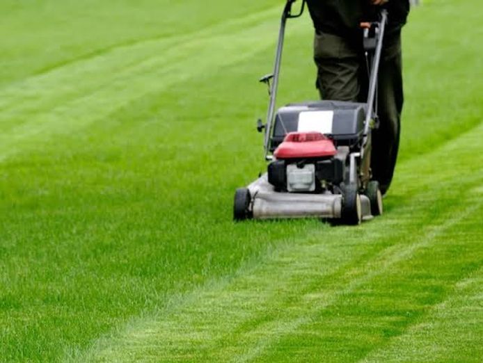 lawn-mowing-business-wiwo-mid-north-coast-nsw-owner-retiring-0