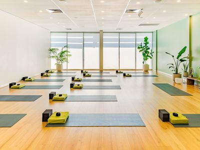 well-established-profitable-yoga-studio-teacher-training-institute-0