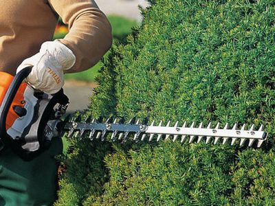 lawn-and-garden-care-commercial-clients-only-0