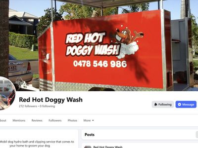 established-mobile-dog-grooming-business-sunshine-coast-includes-trailer-5