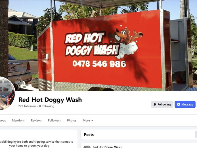 established-mobile-dog-grooming-business-sunshine-coast-includes-trailer-5
