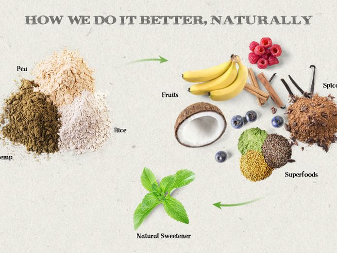 fruit-infused-naural-whey-plant-based-protein-powder-company-for-sale-2