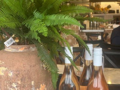 cafe-in-the-heart-of-terrigal-0
