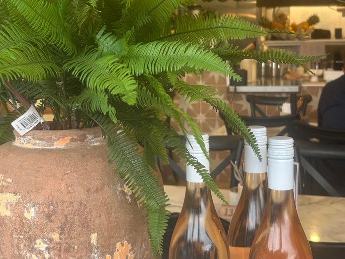 cafe-in-the-heart-of-terrigal-0