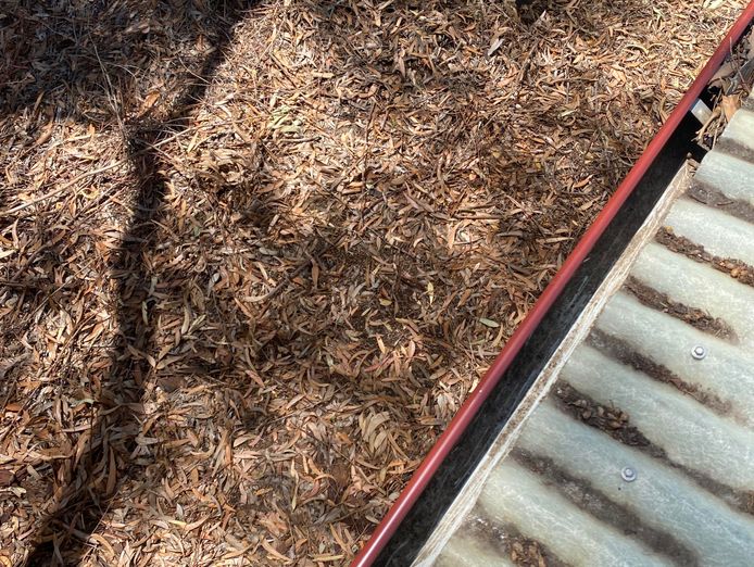 profitable-gutter-cleaning-business-geelong-bellarine-surf-coast-4