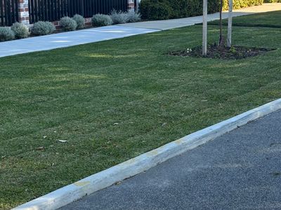 lawnmowing-independent-perth-inner-west-and-northern-suburbs-1