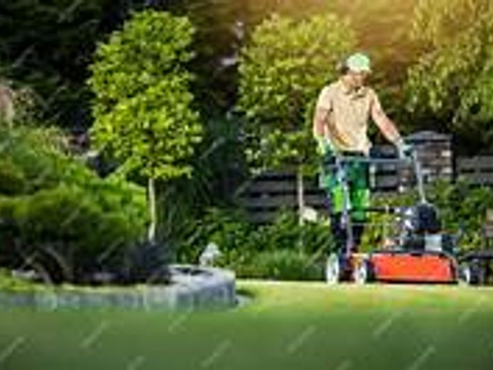 lawn-mowing-and-gardening-business-for-sale-in-south-eastern-suburbs-0
