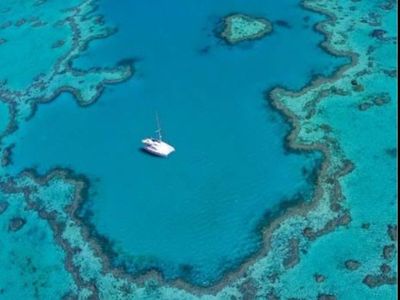 lawn-garden-business-great-turnover-lifestyle-in-airlie-beach-0