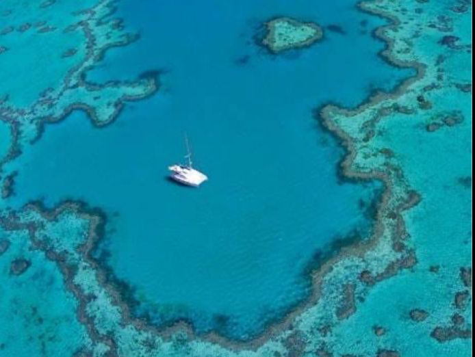 lawn-garden-business-great-turnover-lifestyle-in-airlie-beach-0