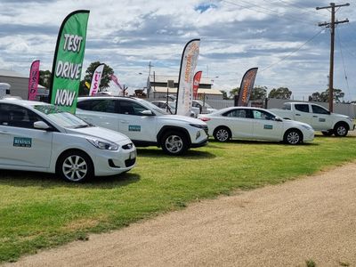 sucessful-established-country-car-rental-car-sales-optional-1