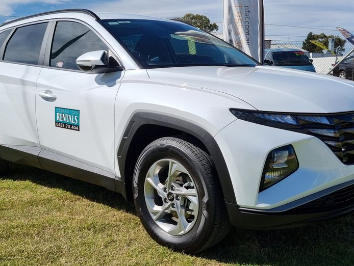 sucessful-established-country-car-rental-car-sales-optional-5