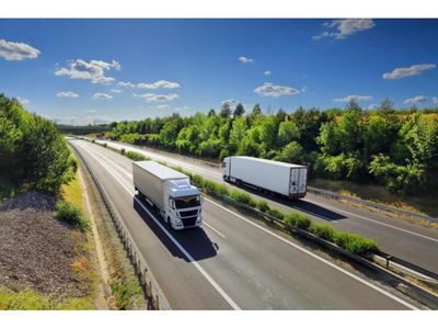 sh00110-largest-wholesale-nursery-in-australia-0