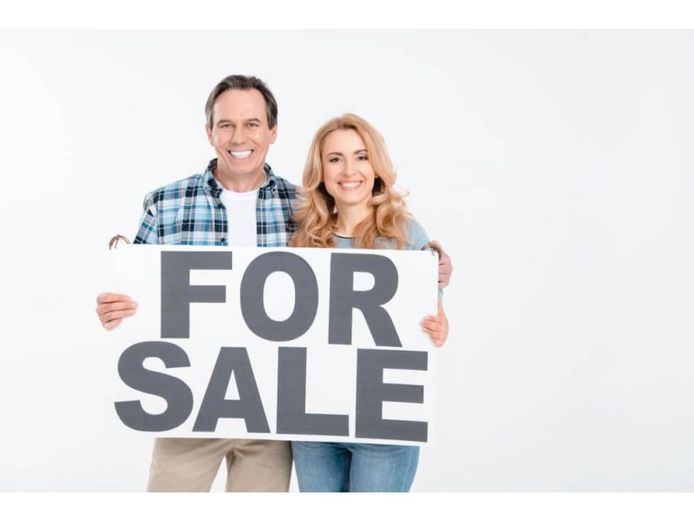 35082-35082-established-e-commerce-business-profitable-technology-sector-2