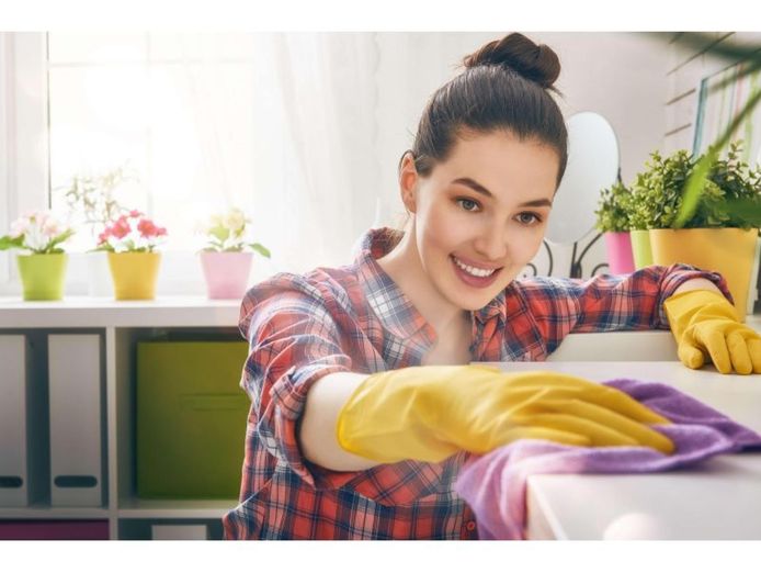 sh00172-established-commercial-cleaning-company-0