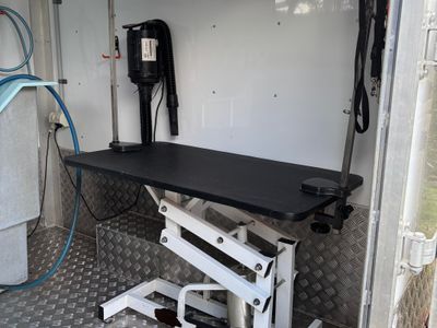 mobile-dog-grooming-business-4