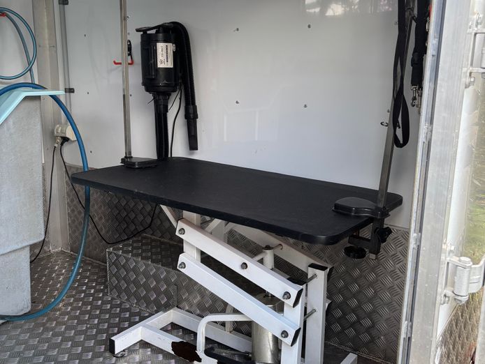 mobile-dog-grooming-business-4