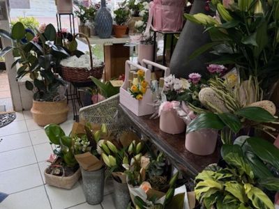 florist-for-sale-hinterland-artistic-hub-of-the-sunshine-coast-8