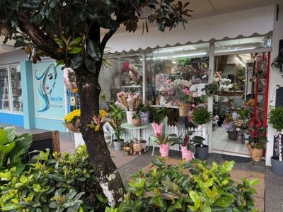 florist-for-sale-hinterland-artistic-hub-of-the-sunshine-coast-0