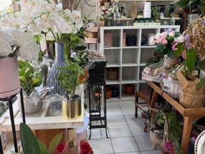 florist-for-sale-hinterland-artistic-hub-of-the-sunshine-coast-3