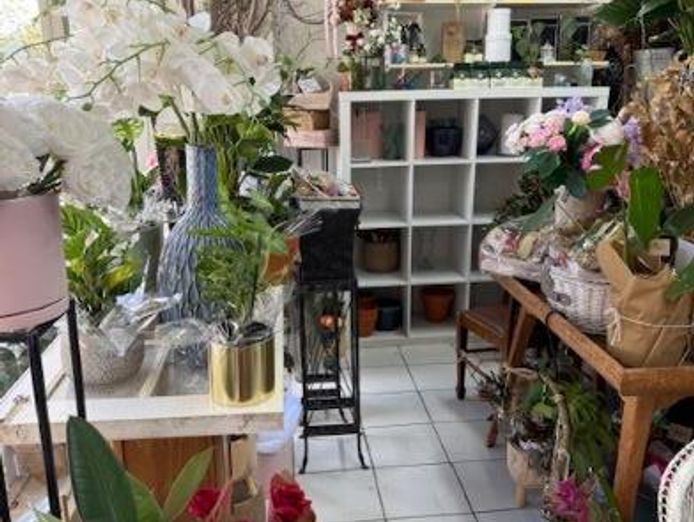 florist-for-sale-hinterland-artistic-hub-of-the-sunshine-coast-3