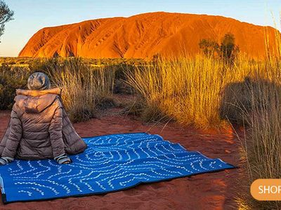 profitable-ecommerce-business-under-management-0