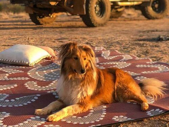 lifestyle-ecommerce-eco-friendly-minimal-owner-input-3