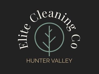 cleaning-business-for-sale-0