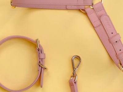 design-led-dog-accessories-brand-7