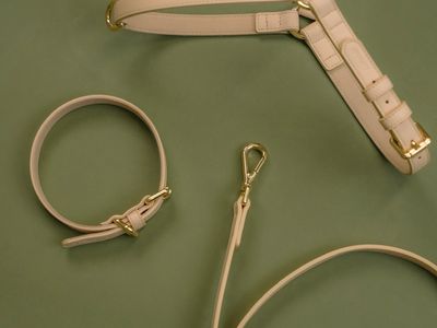 design-led-dog-accessories-brand-9