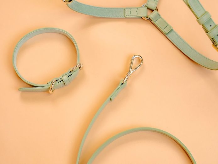 design-led-dog-accessories-brand-6