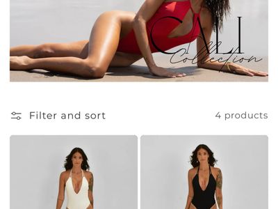 luxury-swimwear-brand-established-stocked-ready-for-growth-2