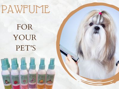 pet-business-for-sale-7