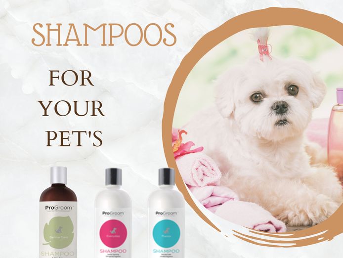 pet-business-for-sale-6