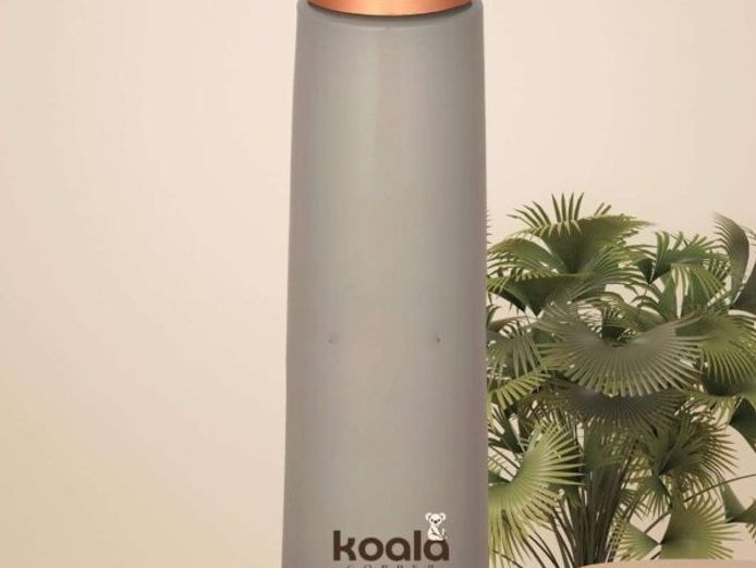 e-commerce-business-for-sale-koala-copper-30-000-7