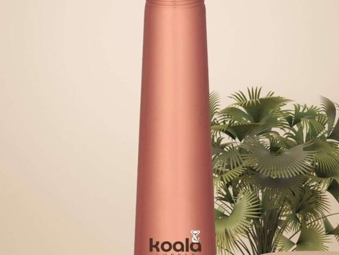 e-commerce-business-for-sale-koala-copper-30-000-0
