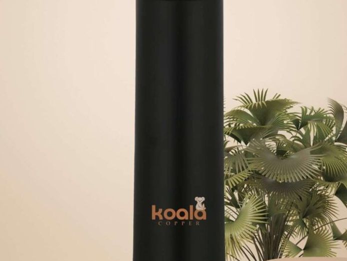 e-commerce-business-for-sale-koala-copper-30-000-6