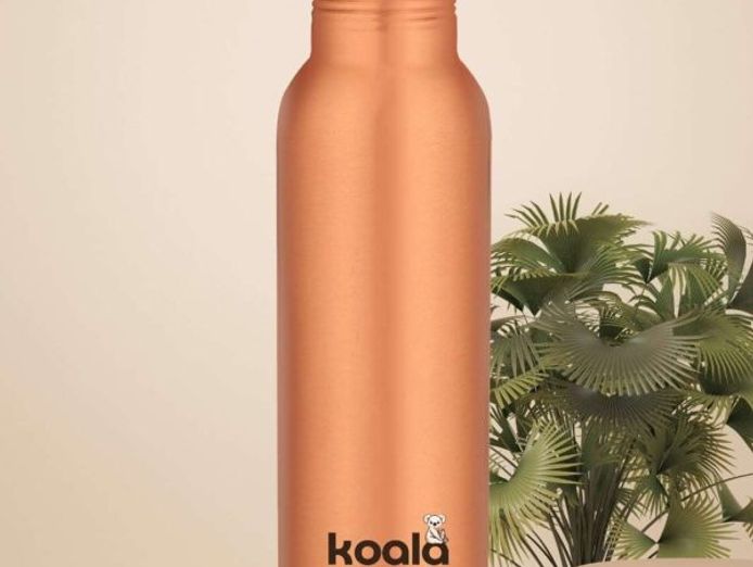 e-commerce-business-for-sale-koala-copper-30-000-4