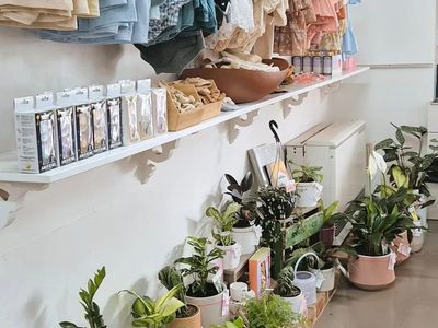 thriving-florist-shop-in-charming-country-town-3