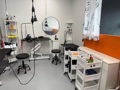 profitable-dog-grooming-business-for-sale-6