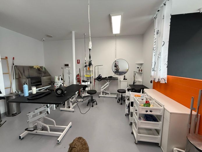 profitable-dog-grooming-business-for-sale-5