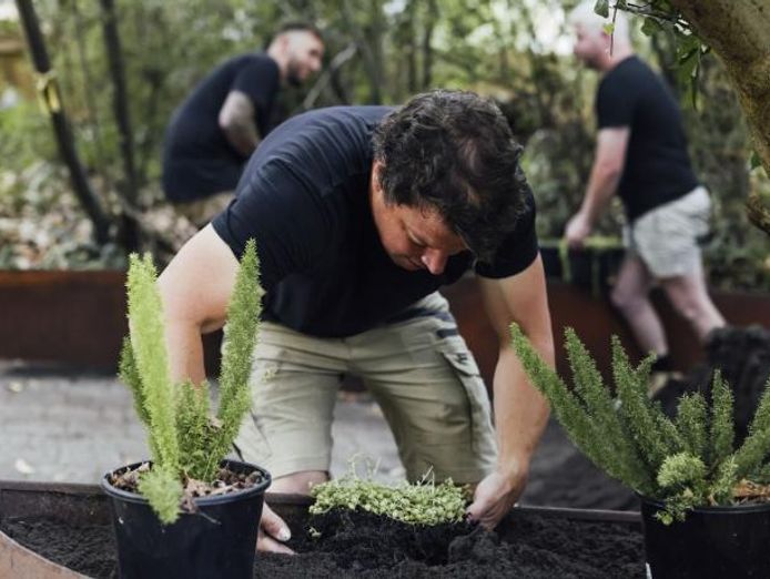 established-commercial-garden-run-0