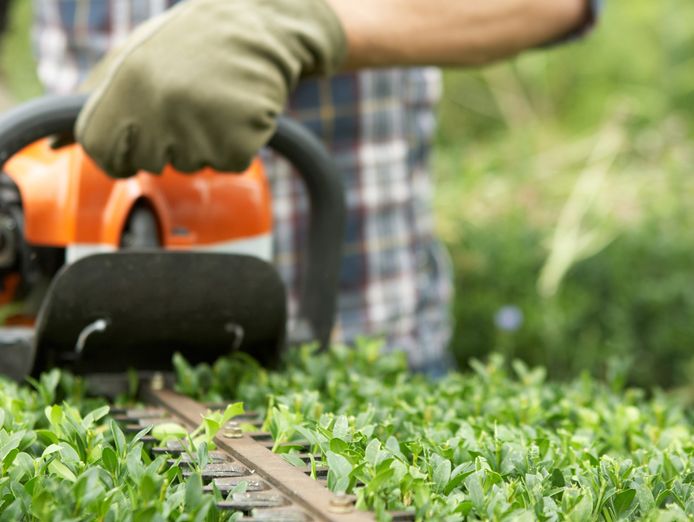 established-commercial-garden-maintenance-business-0