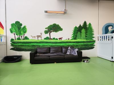 dog-daycare-business-for-sale-in-melbournes-western-suburbs-1