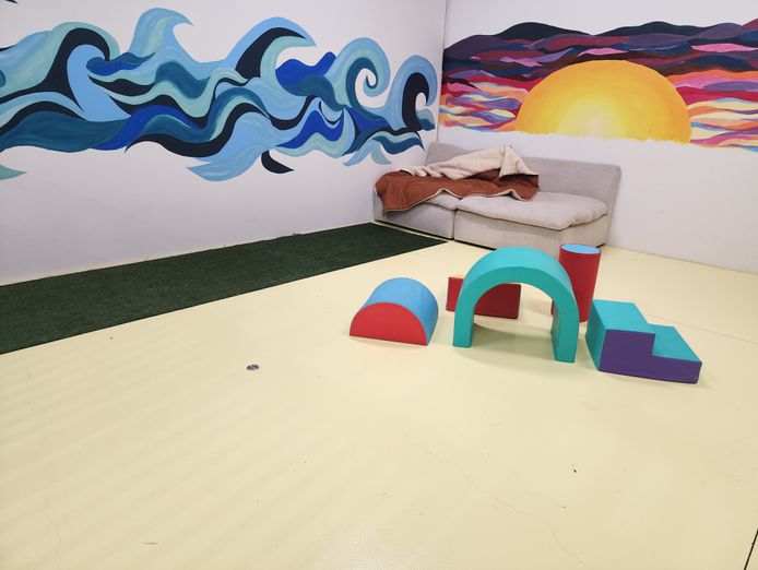 dog-daycare-business-for-sale-in-melbournes-western-suburbs-2