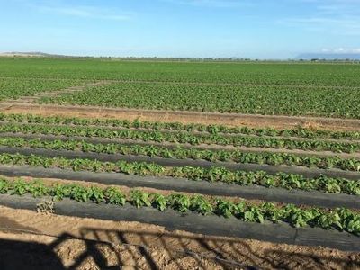 agricultural-plastic-recovery-and-recycling-1