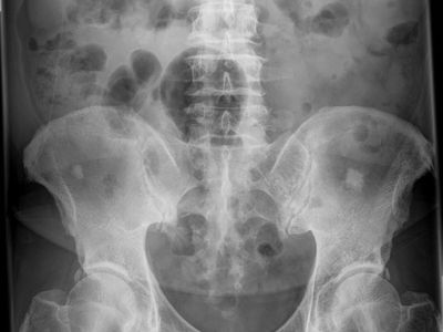 x-ray-practice-for-sale-in-melbournes-north-eastern-suburbs-0