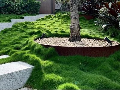 profitable-horticultural-business-proprietary-products-ip-4