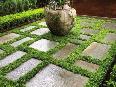 profitable-horticultural-business-proprietary-products-ip-6