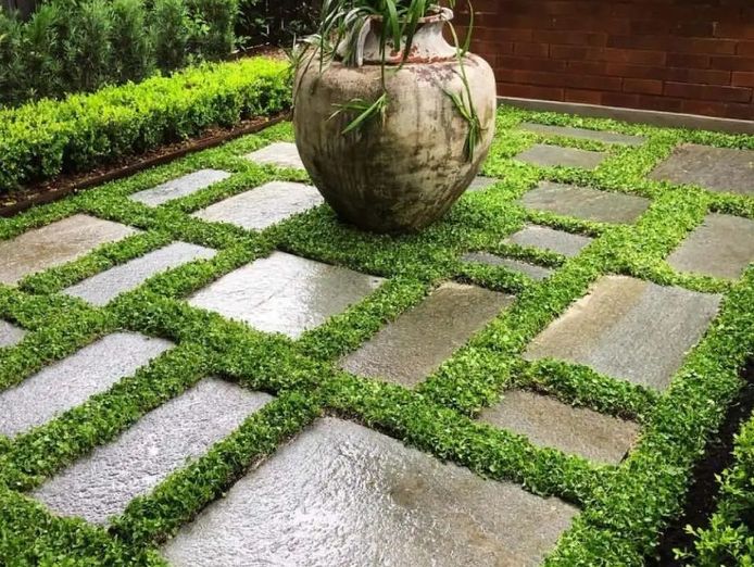 profitable-horticultural-business-proprietary-products-ip-6